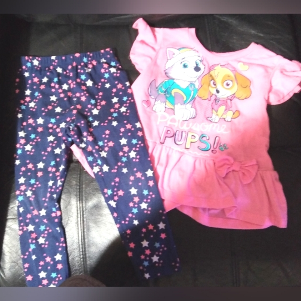 Toddler Girl's Size 4T Outfit